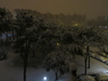 Filename=IMG_1850.JPG
Filesize=2113KB
Dimensions=2048x1536
Date added=Nov 26, 2012 IMG_1850.JPG