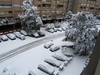 Filename=IMG_1858.JPG
Filesize=2724KB
Dimensions=2048x1536
Date added=Nov 26, 2012 IMG_1858.JPG