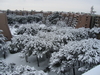 Filename=IMG_1872.JPG
Filesize=3120KB
Dimensions=2048x1536
Date added=Nov 26, 2012 IMG_1872.JPG
