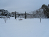 Filename=IMG_1913.JPG
Filesize=2203KB
Dimensions=2048x1536
Date added=Nov 26, 2012 IMG_1913.JPG