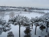 Filename=IMG_1916.JPG
Filesize=2756KB
Dimensions=2048x1536
Date added=Nov 26, 2012 IMG_1916.JPG