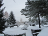 Filename=IMG_1942.JPG
Filesize=2809KB
Dimensions=2048x1536
Date added=Nov 26, 2012 IMG_1942.JPG